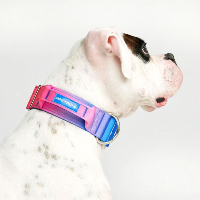 Collar táctico para perros - Cono de nieve